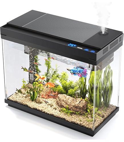 ジャンク　BRIO　ブリオ　水槽　水漏れ　熱帯魚 Amazon | brio(ブリオ) 水槽 35 60Hz仕様 黒 | brio(ブリオ) | 水槽 通販